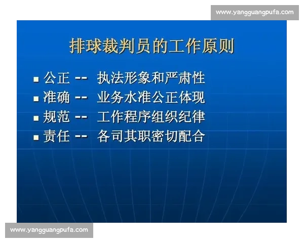 围绕关键判罚争议比赛走向与公平性的深度剖析与反思赛事裁判影响