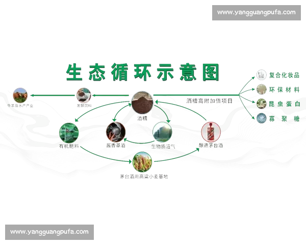 以绿色发展为引领推动企业履行环境责任助力可持续经济增长